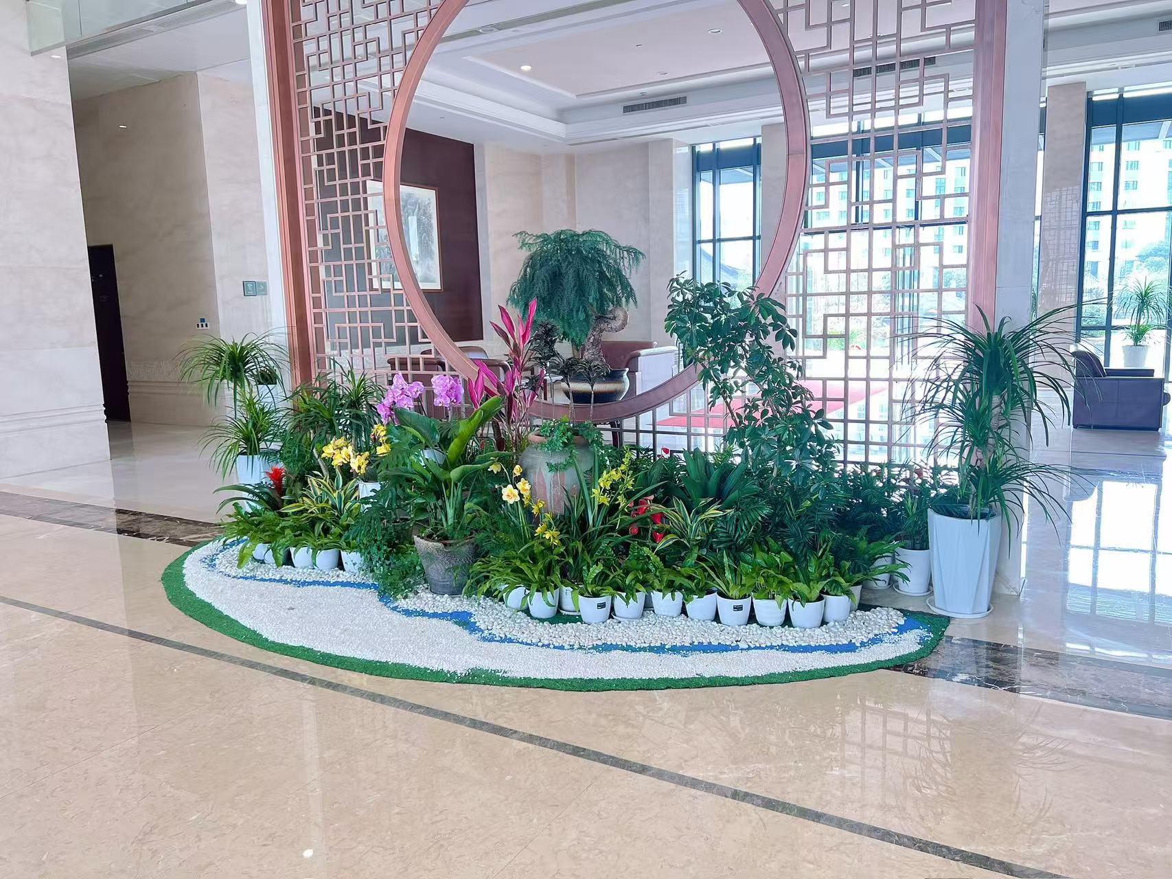 宁波江北花卉租摆价格全解析，速来围观！